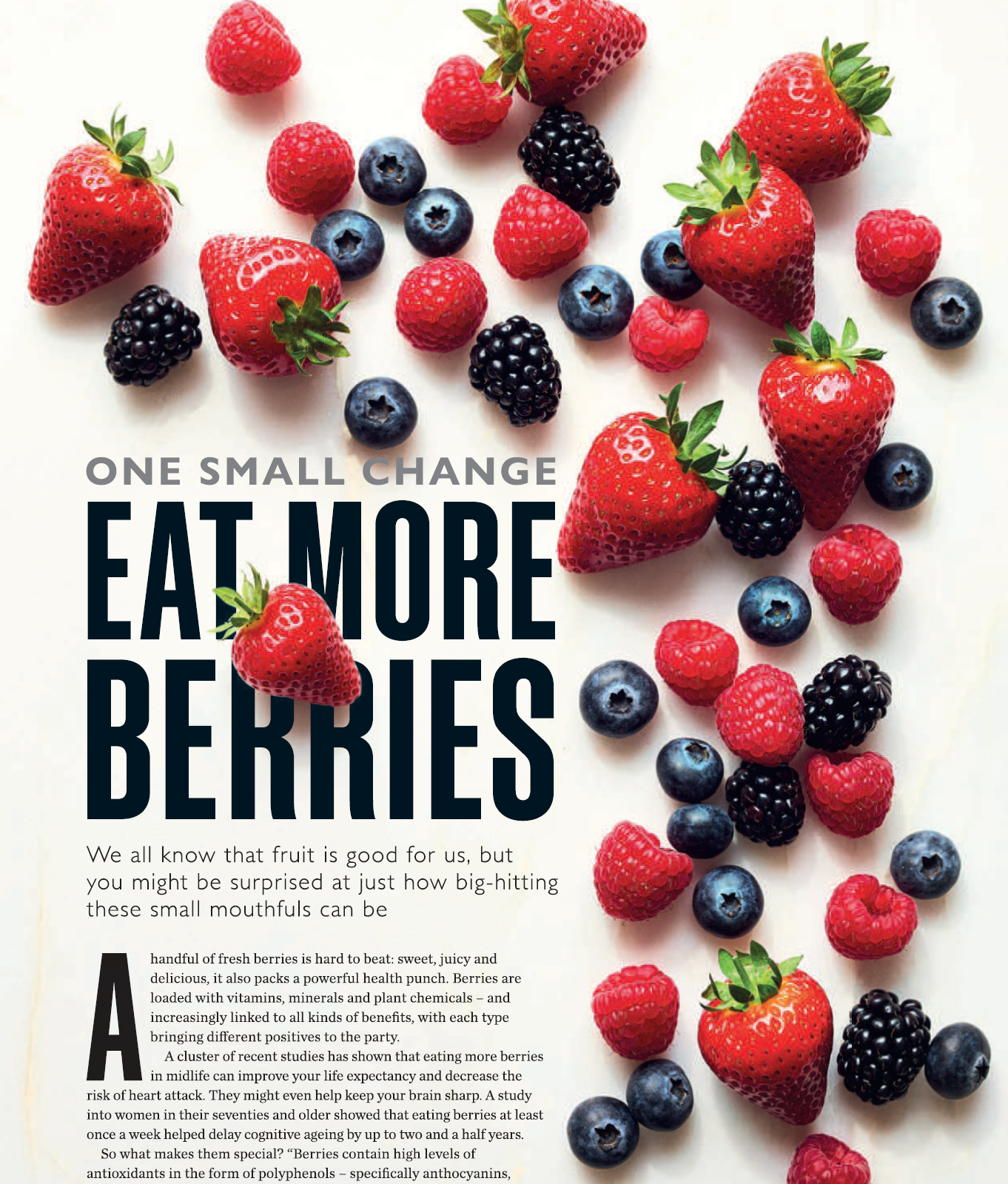 Eat More Berries, July 2024